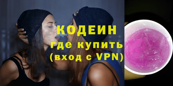 ПСИЛОЦИБИНОВЫЕ ГРИБЫ Ельня