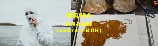 ПСИЛОЦИБИНОВЫЕ ГРИБЫ Ельня
