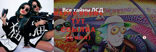 МДПВ Нея