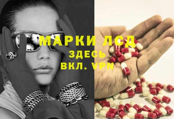 ПСИЛОЦИБИНОВЫЕ ГРИБЫ Ельня