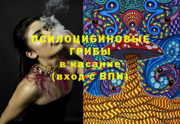 ешки Елабуга