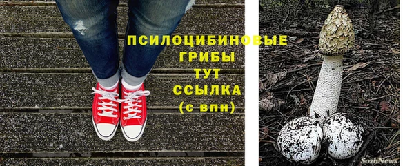 ешки Елабуга
