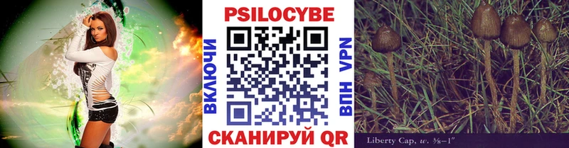 как найти закладки  Рошаль  мега зеркало  Галлюциногенные грибы ЛСД 